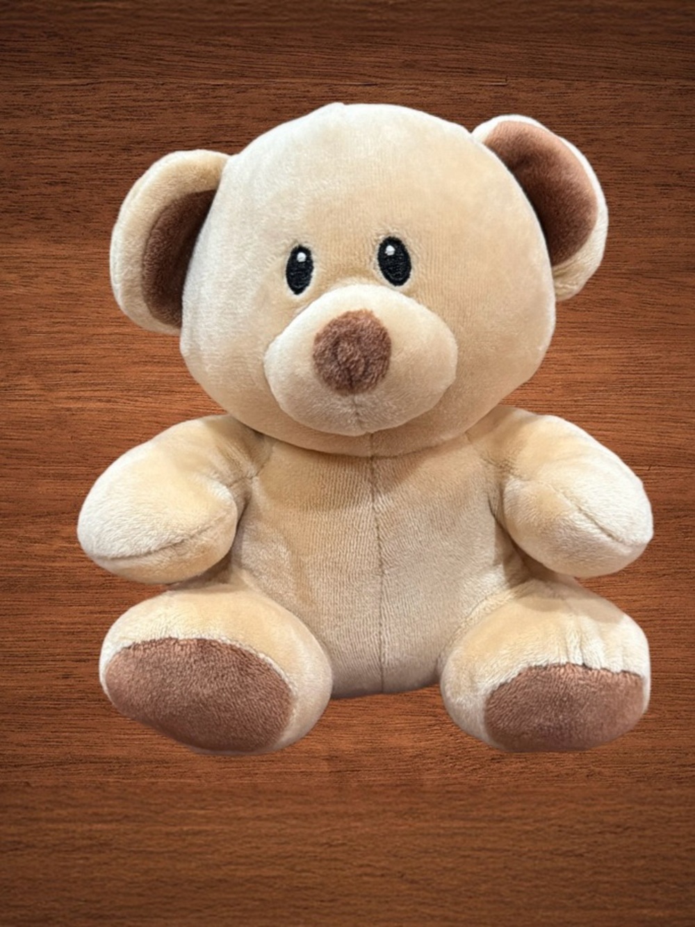 TY BABIES THE BEAR PLUSH. SOFT STUFFED ANIMAL. 2017 6”